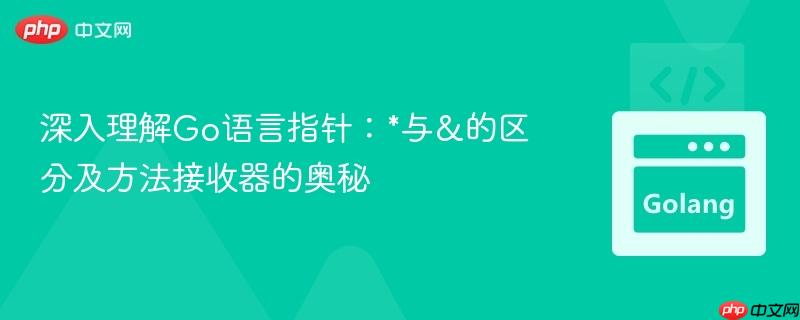 深入理解Go语言指针：*与&的区分及方法接收器的奥秘