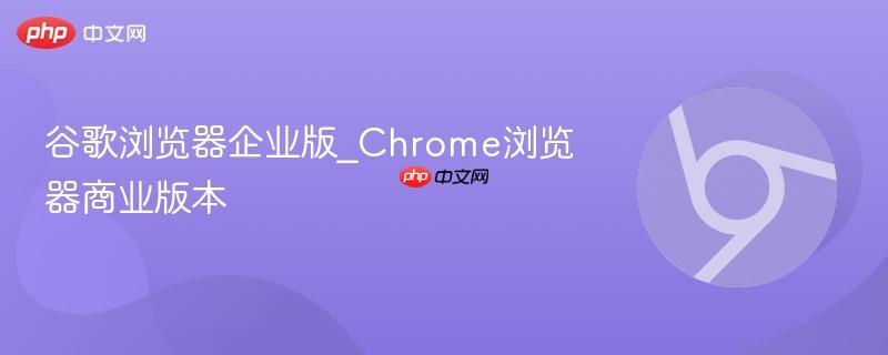 谷歌浏览器企业版_Chrome浏览器商业版本
