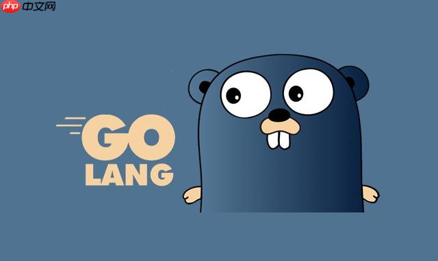 如何在 Golang 中测试 JSON 数据解析_Golang 结构体映射与边界值验证