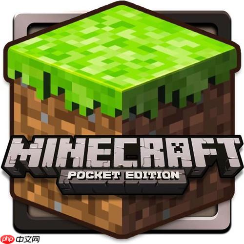 Minecraft官网入口 Minecraft网址一键启动游戏