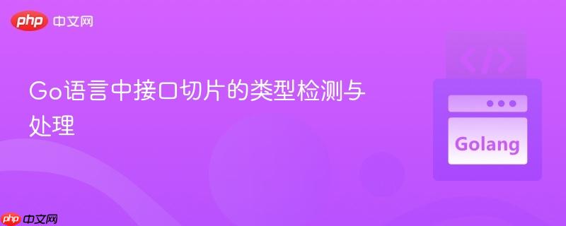 Go语言中接口切片的类型检测与处理