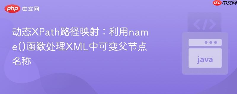 动态XPath路径映射：利用name()函数处理XML中可变父节点名称