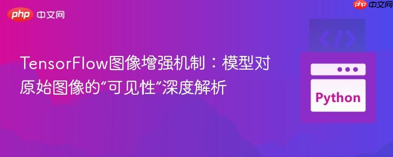 TensorFlow图像增强机制：模型对原始图像的“可见性”深度解析