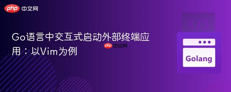 Go语言中交互式启动外部终端应用：以Vim为例