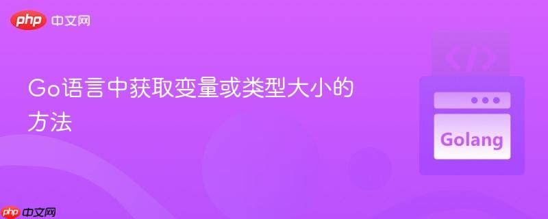 Go语言中获取变量或类型大小的方法