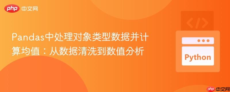 Pandas中处理对象类型数据并计算均值：从数据清洗到数值分析