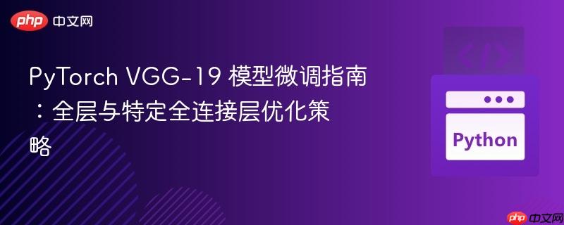 PyTorch VGG-19 模型微调指南：全层与特定全连接层优化策略
