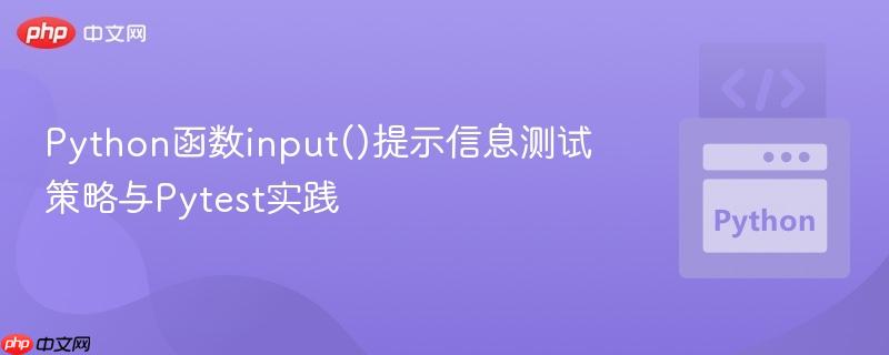 Python函数input()提示信息测试策略与Pytest实践