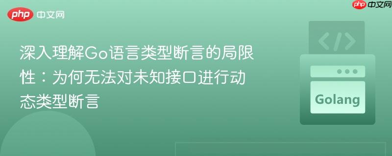 深入理解Go语言类型断言的局限性：为何无法对未知接口进行动态类型断言