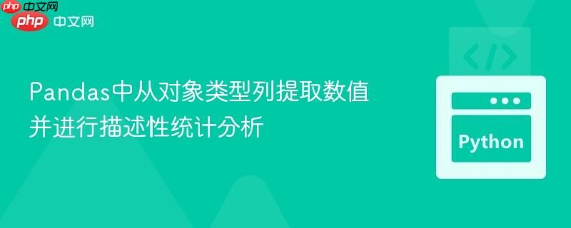 Pandas中从对象类型列提取数值并进行描述性统计分析