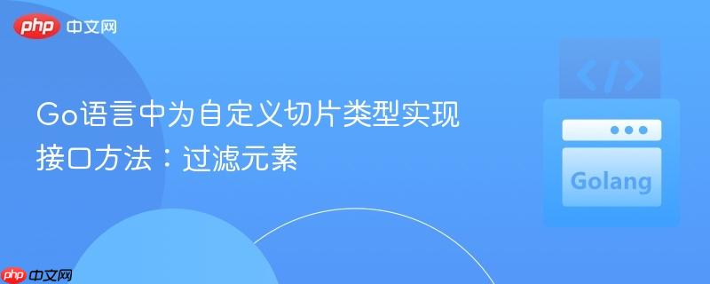 Go语言中为自定义切片类型实现接口方法：过滤元素