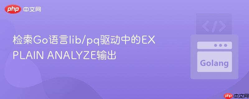 检索Go语言lib/pq驱动中的EXPLAIN ANALYZE输出