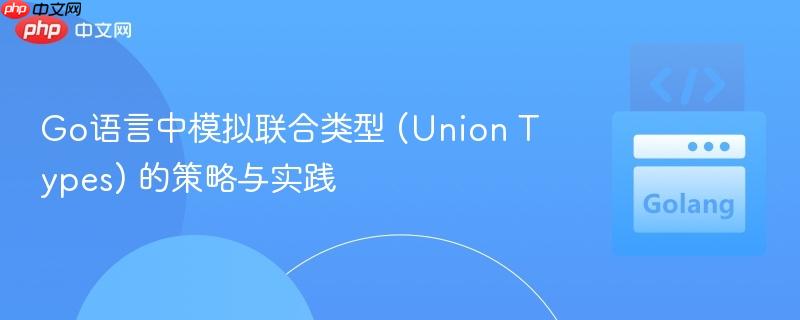 Go语言中模拟联合类型 (Union Types) 的策略与实践