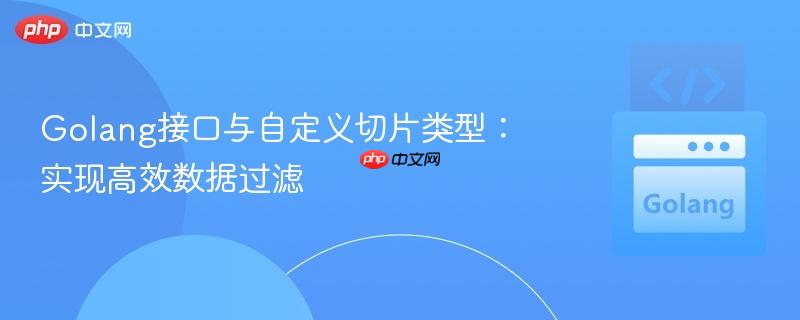 Golang接口与自定义切片类型：实现高效数据过滤