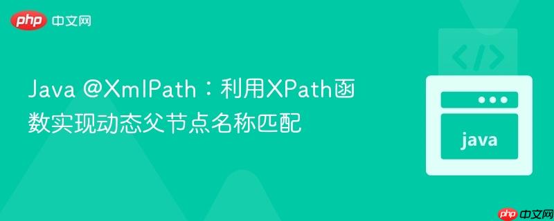 Java @XmlPath：利用XPath函数实现动态父节点名称匹配