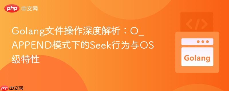 Golang文件操作深度解析：O_APPEND模式下的Seek行为与OS级特性
