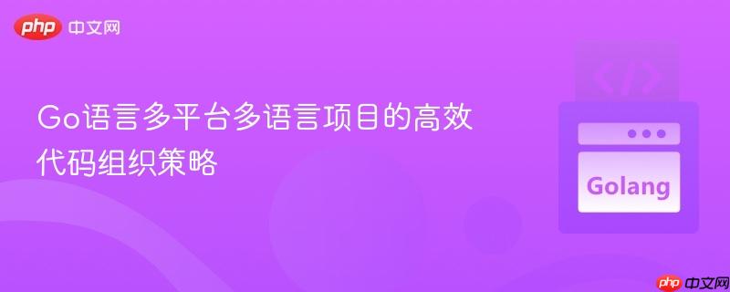 Go语言多平台多语言项目的高效代码组织策略