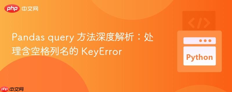 Pandas query 方法深度解析：处理含空格列名的 KeyError