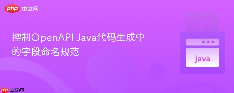 控制OpenAPI Java代码生成中的字段命名规范
