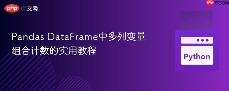 Pandas DataFrame中多列变量组合计数的实用教程