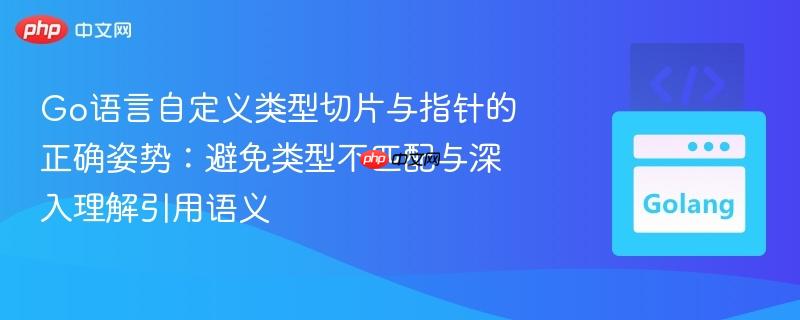 Go语言自定义类型切片与指针的正确姿势：避免类型不匹配与深入理解引用语义