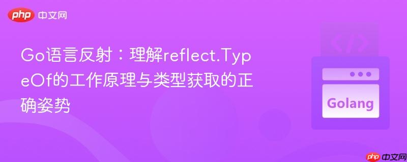 Go语言反射：理解reflect.TypeOf的工作原理与类型获取的正确姿势