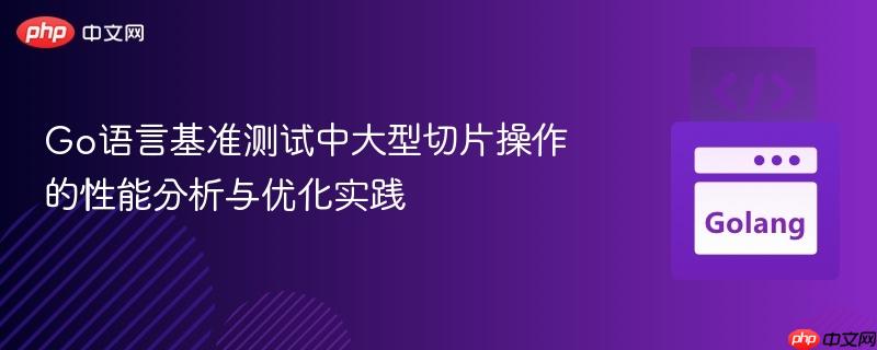 Go语言基准测试中大型切片操作的性能分析与优化实践