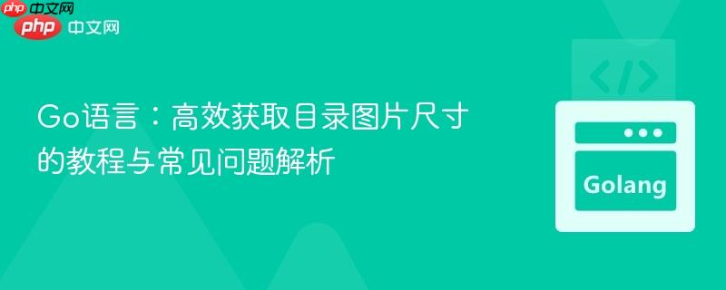 Go语言：高效获取目录图片尺寸的教程与常见问题解析