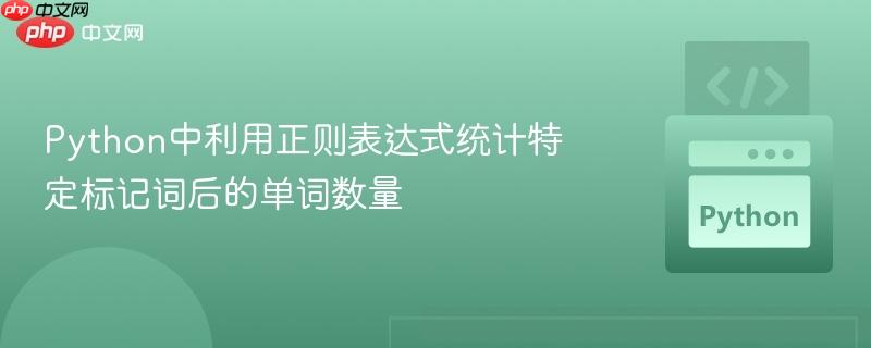 Python中利用正则表达式统计特定标记词后的单词数量
