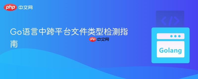 Go语言中跨平台文件类型检测指南
