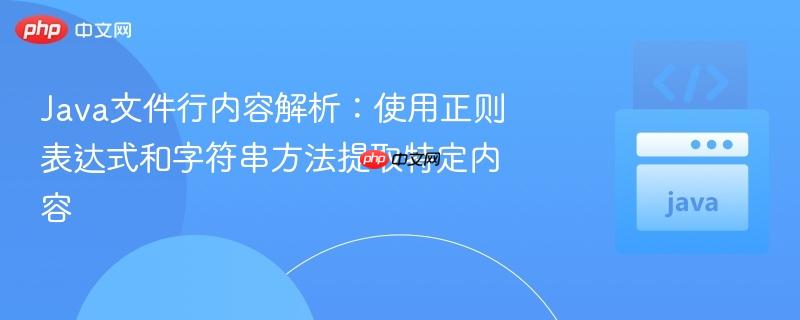 Java文件行内容解析：使用正则表达式和字符串方法提取特定内容