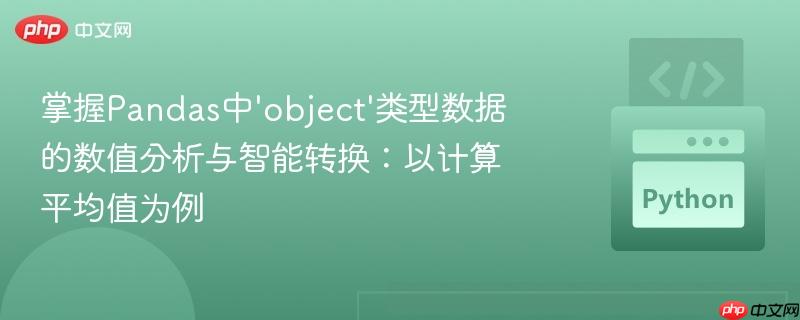 掌握Pandas中‘object’类型数据的数值分析与智能转换：以计算平均值为例