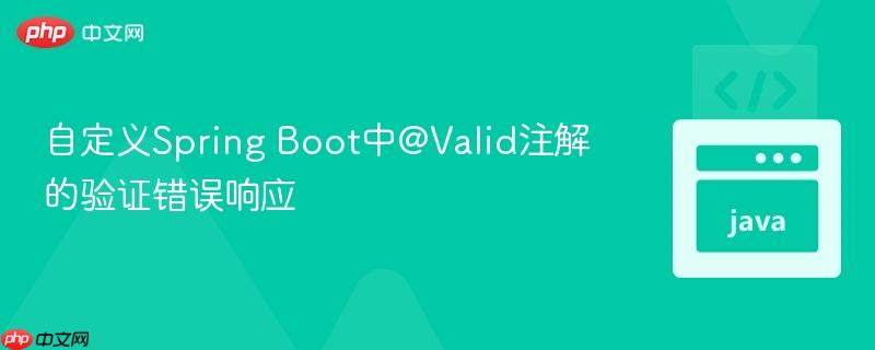 自定义Spring Boot中@Valid注解的验证错误响应
