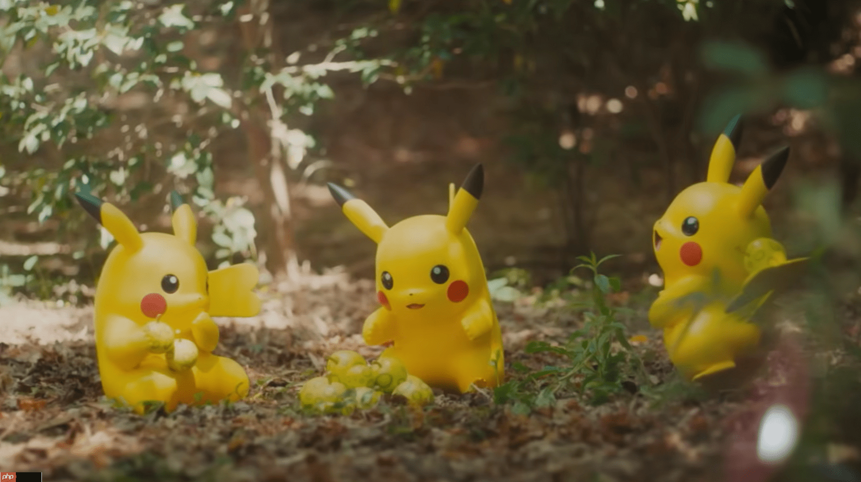 PokéPark Kanto成真实版禁忌森林！入园细则限制「这些人」止步
