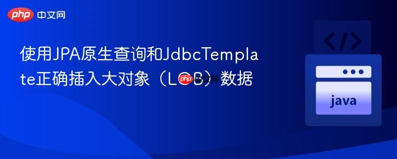 使用JPA原生查询和JdbcTemplate正确插入大对象（LOB）数据