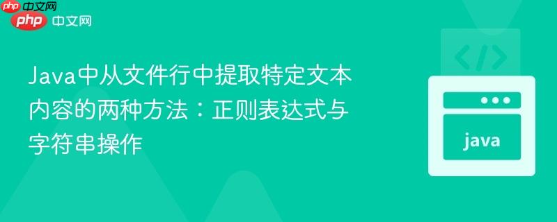 Java中从文件行中提取特定文本内容的两种方法：正则表达式与字符串操作