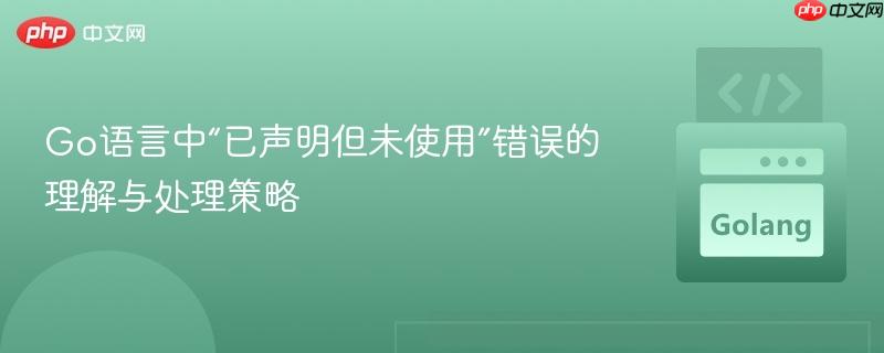 Go语言中“已声明但未使用”错误的理解与处理策略