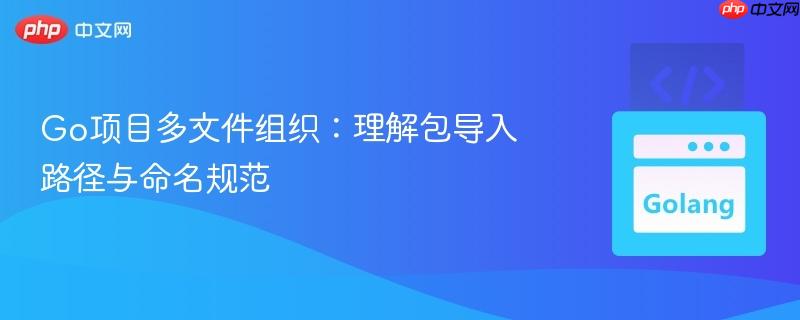 Go项目多文件组织：理解包导入路径与命名规范