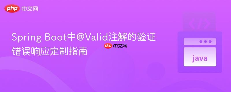 Spring Boot中@Valid注解的验证错误响应定制指南