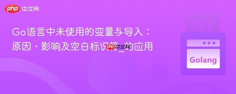 Go语言中未使用的变量与导入：原因、影响及空白标识符_的应用