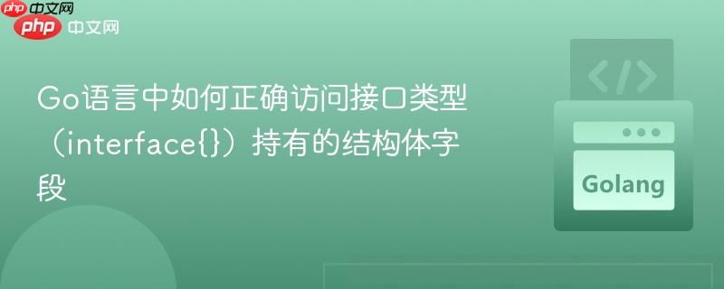 Go语言中如何正确访问接口类型（interface{}）持有的结构体字段