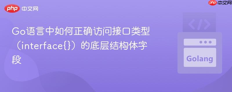 Go语言中如何正确访问接口类型（interface{}）的底层结构体字段