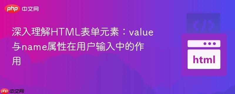 深入理解HTML表单元素：value与name属性在用户输入中的作用