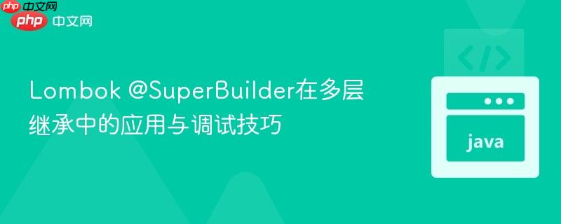 Lombok @SuperBuilder在多层继承中的应用与调试技巧