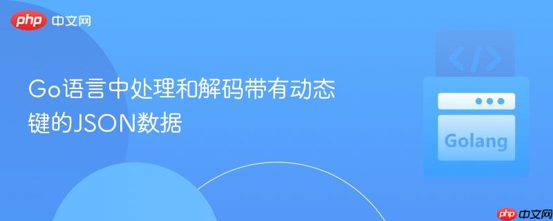 Go语言中处理和解码带有动态键的JSON数据