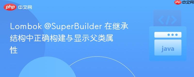 Lombok @SuperBuilder 在继承结构中正确构建与显示父类属性