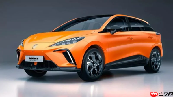 外媒：中国电动汽车正以“技术+价格”组合拳赢得欧洲市场