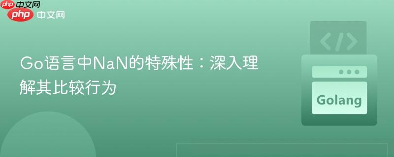 Go语言中NaN的特殊性：深入理解其比较行为