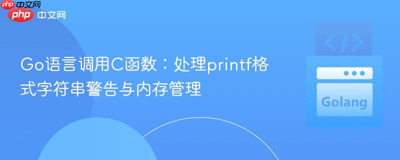 Go语言调用C函数：处理printf格式字符串警告与内存管理