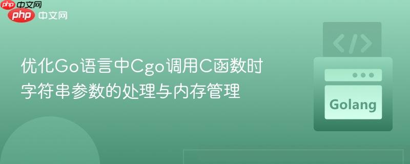 优化Go语言中Cgo调用C函数时字符串参数的处理与内存管理